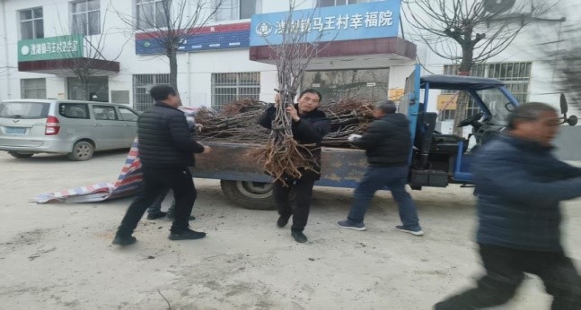 墟落振兴事情动态（第167期）